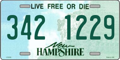 NH license plate 3421229