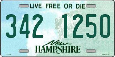 NH license plate 3421250