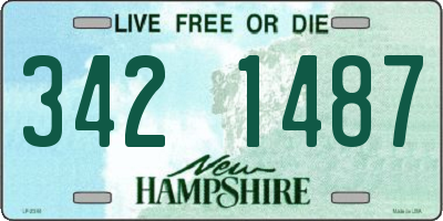 NH license plate 3421487