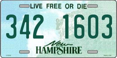 NH license plate 3421603