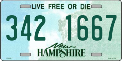 NH license plate 3421667