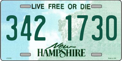 NH license plate 3421730