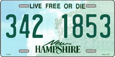 NH license plate 3421853