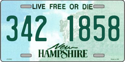 NH license plate 3421858
