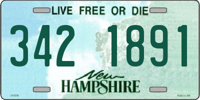 NH license plate 3421891
