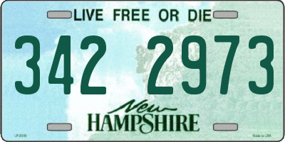 NH license plate 3422973
