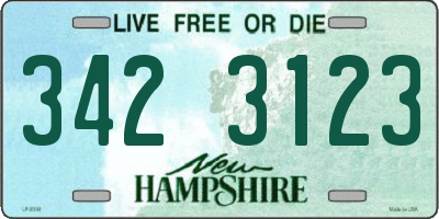 NH license plate 3423123