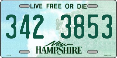NH license plate 3423853