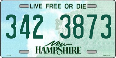 NH license plate 3423873