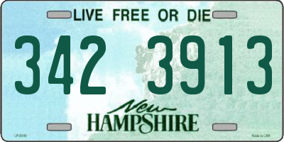 NH license plate 3423913