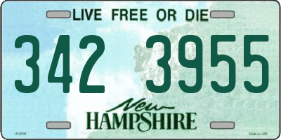 NH license plate 3423955
