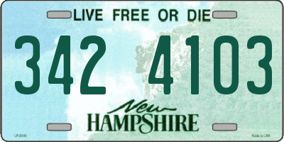 NH license plate 3424103