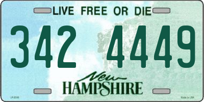 NH license plate 3424449