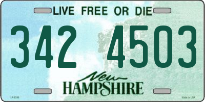 NH license plate 3424503