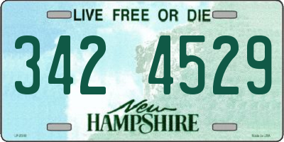 NH license plate 3424529