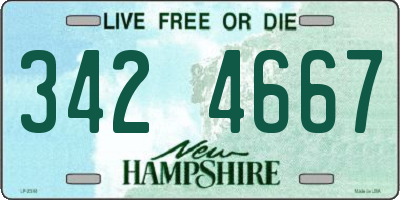 NH license plate 3424667