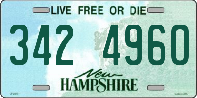 NH license plate 3424960