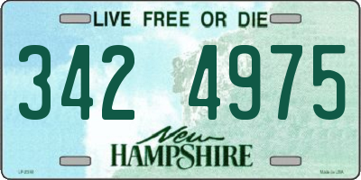 NH license plate 3424975