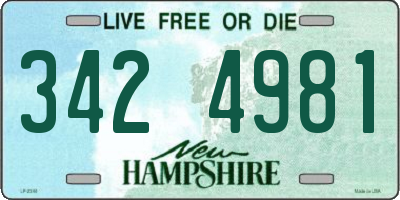NH license plate 3424981