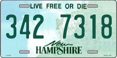 NH license plate 3427318