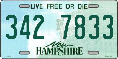 NH license plate 3427833