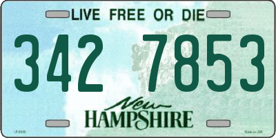 NH license plate 3427853