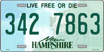 NH license plate 3427863