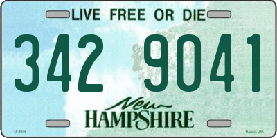 NH license plate 3429041
