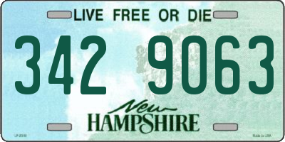 NH license plate 3429063