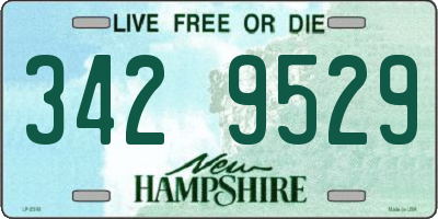 NH license plate 3429529