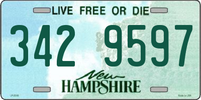 NH license plate 3429597