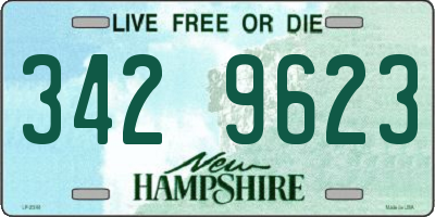 NH license plate 3429623