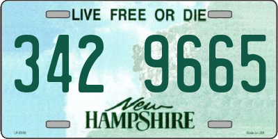 NH license plate 3429665