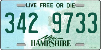 NH license plate 3429733