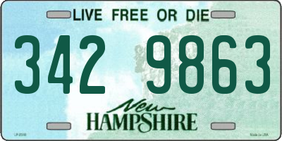NH license plate 3429863