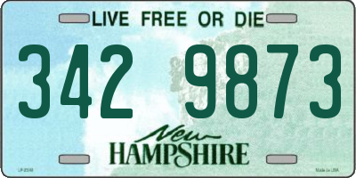 NH license plate 3429873