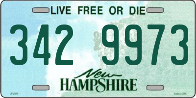 NH license plate 3429973