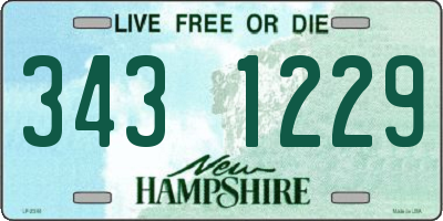 NH license plate 3431229