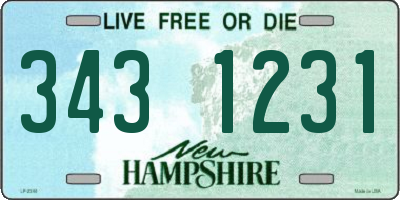 NH license plate 3431231