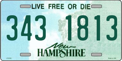 NH license plate 3431813