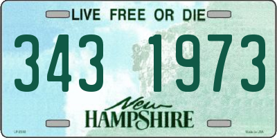 NH license plate 3431973