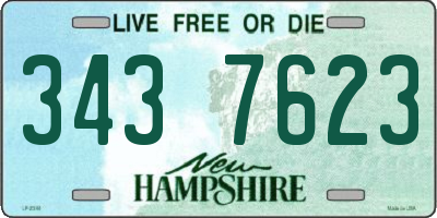 NH license plate 3437623