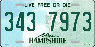 NH license plate 3437973