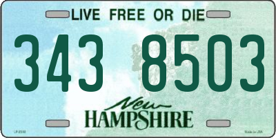 NH license plate 3438503