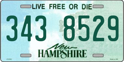 NH license plate 3438529