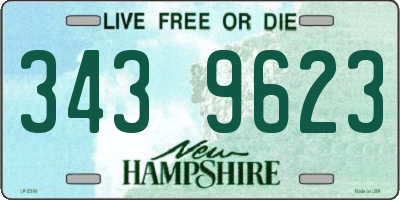 NH license plate 3439623