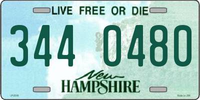 NH license plate 3440480