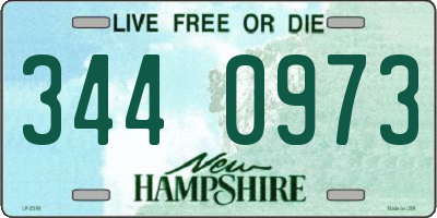NH license plate 3440973