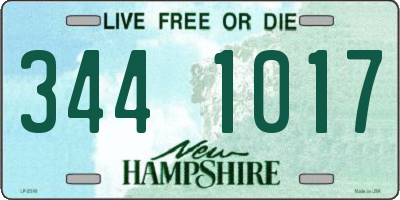 NH license plate 3441017