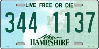 NH license plate 3441137